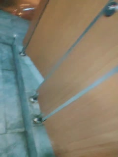 小狐狸主播【乌苏儿】极品美女,在网吧静静的去厕所开收费玩跳蛋扣逼_0.