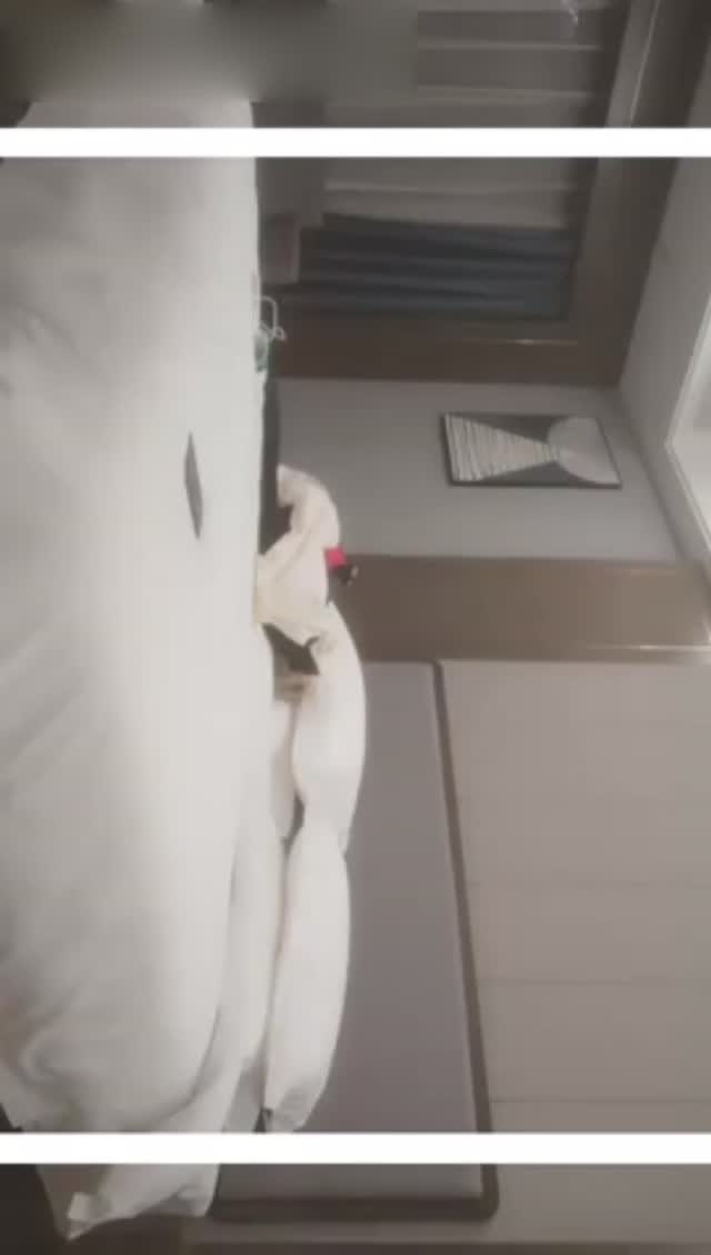 约了个丰满少妇酒店啪啪,撕掉丝袜上位骑坐抽插猛操